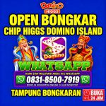 thumbnail-terima-bongkaran-chip-higgs-domino-island-amanah-dan-terpercaya-wa-083185007919-0
