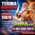thumbnail-khusus-terima-bongkar-chip-domino-island-higgs-buka-24jam-wa0831-8500-7919-0