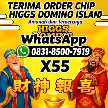 TERIMA BONGKAR CHIP HDI HIGGS DOMINO ISLAND JUAL BELI CHIP HDI WA 083185007919