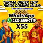 thumbnail-terima-bongkar-chip-hdi-higgs-domino-island-jual-beli-chip-hdi-wa-083185007919-0