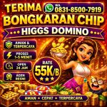 thumbnail-terima-bongkar-chip-hdi-higgs-domino-island-dan-royal-dream-wa-0831-8500-7919-0