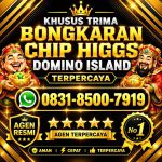 thumbnail-khusus-terima-bongkar-chip-domino-island-higgs-buka-24jam-wa0831-8500-7919-0
