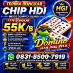 thumbnail-terima-bongkar-chip-hdi-higgs-domino-island-jual-beli-chip-hdi-wa-083185007919-0