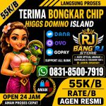 thumbnail-terima-bongkar-chip-hdi-higgs-domino-island-jual-beli-chip-hdi-wa-083185007919-0