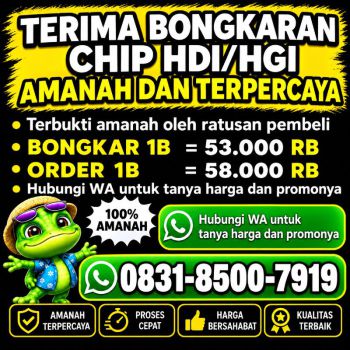 TERIMA BONGKAR CHIP HDI HIGGS DOMINO ISLAND JUAL BELI CHIP HDI WA 083185007919