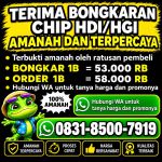 thumbnail-terima-bongkar-chip-hdi-higgs-domino-island-jual-beli-chip-hdi-wa-083185007919-0