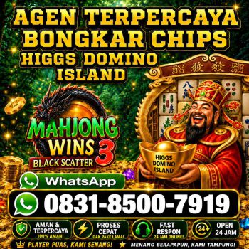 TERIMA BONGKAR CHIP HDI HIGGS DOMINO ISLAND JUAL BELI CHIP HDI WA 083185007919