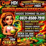 thumbnail-terima-bongkar-chip-hdi-higgs-domino-island-dan-royal-dream-wa-0831-8500-7919-0
