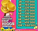 thumbnail-ready-terima-bongkar-chip-domino-island-higgs-buka-24jam-wa083827992945-0