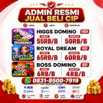 thumbnail-terima-bongkar-chip-hdi-higgs-domino-island-dan-royal-dream-wa-0831-8500-7919-0