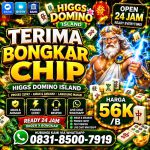 thumbnail-terima-bongkaran-chip-higgs-domino-island-amanah-dan-terpercaya-wa-083185007919-0