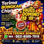 thumbnail-khusus-terima-bongkar-chip-domino-island-higgs-buka-24jam-wa0831-8500-7919-0