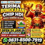 thumbnail-khusus-terima-bongkar-chip-domino-island-higgs-buka-24jam-wa0831-8500-7919-0
