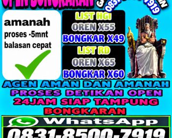 TERIMA BONGKAR CHIP HDI HIGGS DOMINO ISLAND JUAL BELI CHIP HDI WA 083185007919