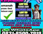 thumbnail-terima-bongkar-chip-hdi-higgs-domino-island-jual-beli-chip-hdi-wa-083185007919-0
