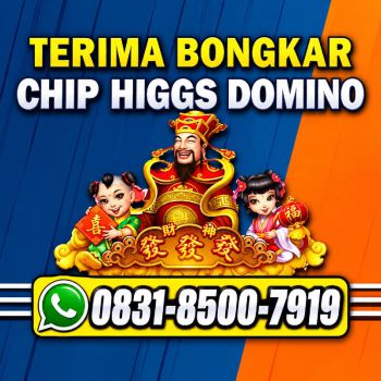 TERIMA BONGKAR CHIP HDI HIGGS DOMINO ISLAND JUAL BELI CHIP HDI WA 083185007919