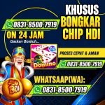 thumbnail-khusus-terima-bongkar-chip-domino-island-higgs-buka-24jam-wa0831-8500-7919-0
