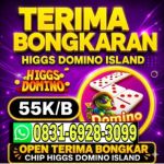 thumbnail-terima-bongkar-domino-island-higgs-hdi-wa-0831-6928-3099-0