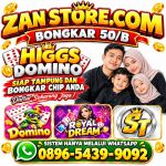 thumbnail-khusus-terima-bongkar-chip-domino-island-higgs-buka-24jam-wa0896-5439-9092-0