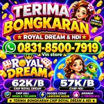thumbnail-terima-bongkar-chip-hdi-higgs-domino-island-dan-royal-dream-wa-0831-8500-7919-0