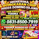 thumbnail-terima-bongkar-chip-hdi-higgs-domino-island-jual-beli-chip-hdi-wa-083185007919-0