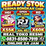 thumbnail-terima-bongkar-chip-hdi-0