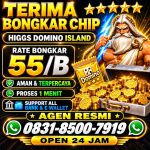 thumbnail-terima-bongkar-chip-hdi-higgs-domino-island-jual-beli-chip-hdi-wa-083185007919-0