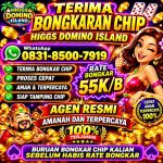 thumbnail-terima-bongkar-chip-hdi-higgs-domino-island-dan-royal-dream-wa-0831-8500-7919-0