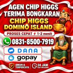 thumbnail-terima-bongkar-chip-hdi-higgs-domino-island-jual-beli-chip-hdi-wa-083185007919-0