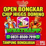 thumbnail-khusus-terima-bongkar-chip-domino-island-higgs-buka-24jam-wa0831-8500-7919-0