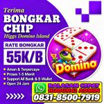 thumbnail-terima-bongkar-chip-hdi-higgs-domino-island-jual-beli-chip-hdi-wa-083185007919-0