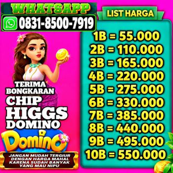 TERIMA BONGKAR CHIP HDI HIGGS DOMINO ISLAND JUAL BELI CHIP HDI WA 083185007919