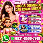 thumbnail-terima-bongkar-chip-hdi-higgs-domino-island-dan-royal-dream-wa-0831-8500-7919-0