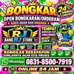 thumbnail-khusus-terima-bongkar-chip-domino-island-higgs-buka-24jam-wa0831-8500-7919-0
