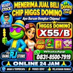 thumbnail-terima-bongkar-chip-hdi-higgs-domino-island-dan-royal-dream-wa-0831-8500-7919-0