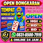 thumbnail-khusus-terima-bongkar-chip-domino-island-higgs-buka-24jam-wa0831-8500-7919-0