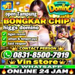 thumbnail-khusus-terima-bongkar-chip-domino-island-higgs-buka-24jam-wa0831-8500-7919-0