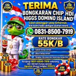 thumbnail-terima-bongkaran-chip-higgs-domino-island-amanah-dan-terpercaya-wa-083185007919-0