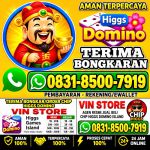 thumbnail-khusus-terima-bongkar-chip-domino-island-higgs-buka-24jam-wa0831-8500-7919-0