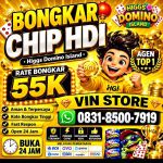 thumbnail-khusus-terima-bongkar-chip-domino-island-higgs-buka-24jam-wa0831-8500-7919-0