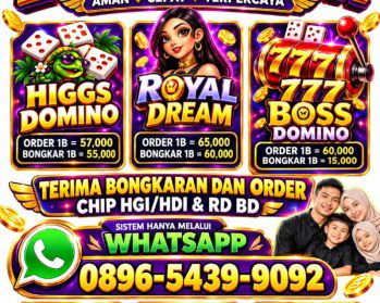 Terima bongkar chip Higgs domino island aman dan terpercaya wa 089654399092