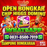 thumbnail-khusus-terima-bongkar-chip-domino-island-higgs-buka-24jam-wa0831-8500-7919-0