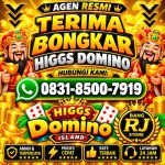 thumbnail-terima-bongkar-chip-hdi-higgs-domino-island-dan-royal-dream-wa-0831-8500-7919-0