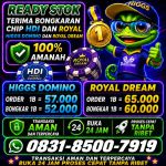 thumbnail-terima-bongkar-chip-hdi-higgs-domino-island-dan-royal-dream-wa-0831-8500-7919-0