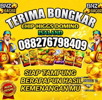 Agen real Terima bongkar chip hdi Higgs domino island 60k/B 088276798409