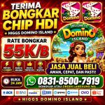 thumbnail-terima-bongkar-chip-hdi-higgs-domino-island-dan-royal-dream-wa-0831-8500-7919-0