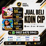 thumbnail-terima-bongkaran-chip-domino-open-tampung-bongkar-chip-hdi-0