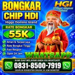 thumbnail-terima-bongkaran-chip-higgs-domino-island-amanah-dan-terpercaya-wa-083185007919-0