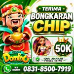 thumbnail-terima-bongkar-chip-hdi-higgs-domino-island-jual-beli-chip-hdi-wa-083185007919-0