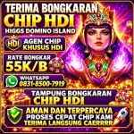 thumbnail-terima-bongkaran-chip-higgs-domino-island-amanah-dan-terpercaya-wa-083185007919-0